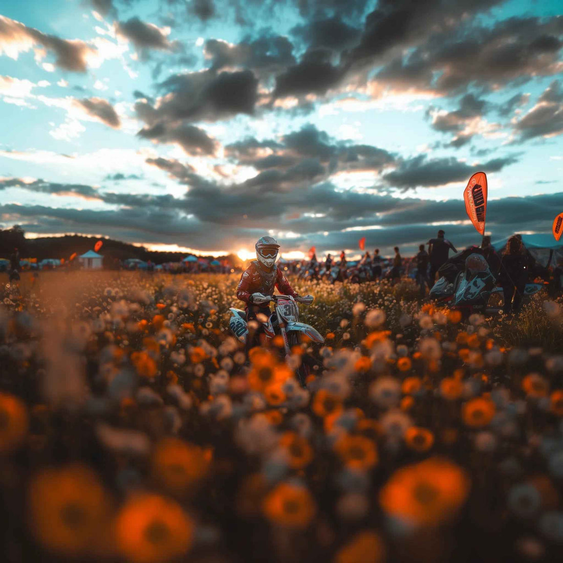 Testing Alt